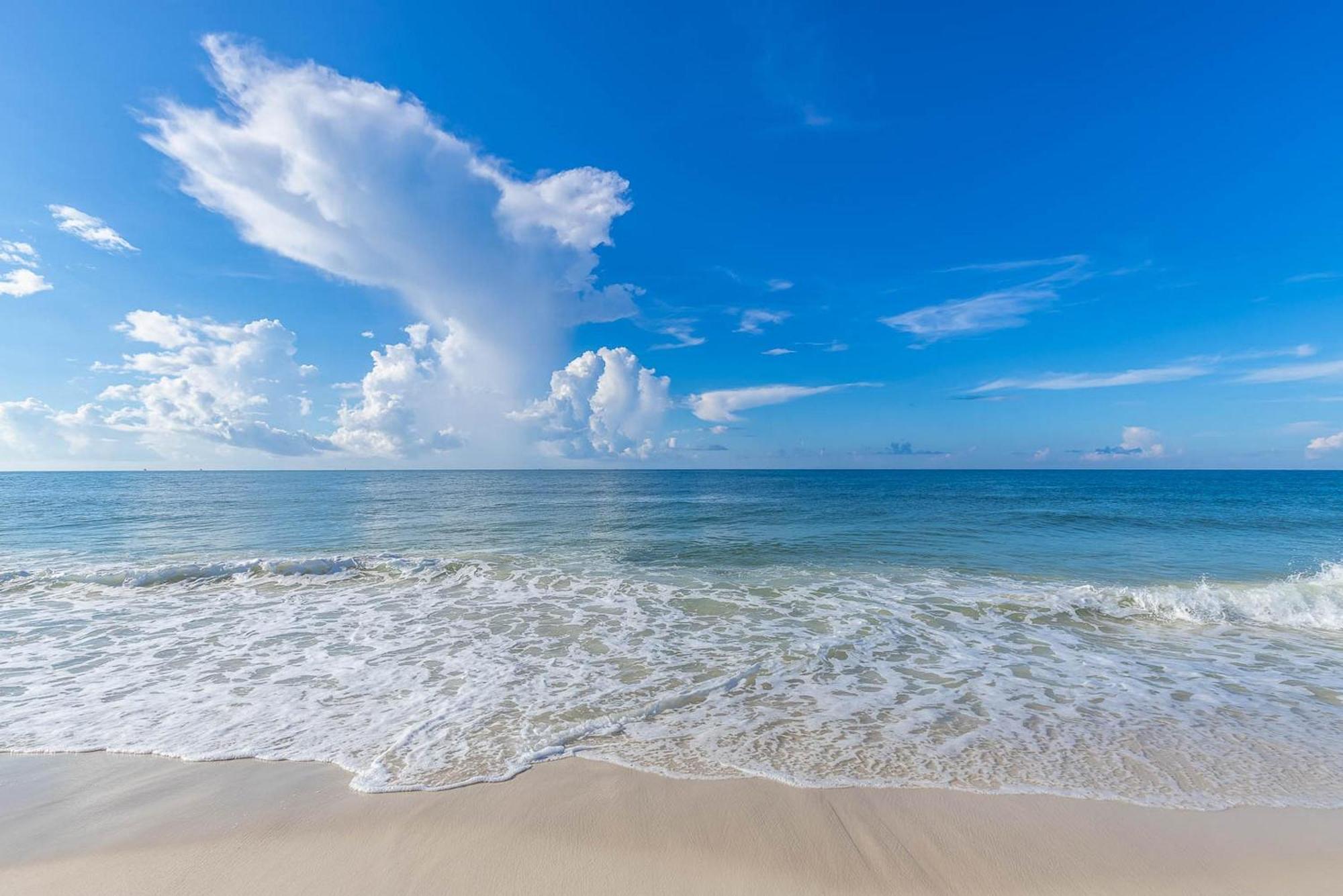 Phoenix VI By Brett Robinson Orange Beach Bagian luar foto